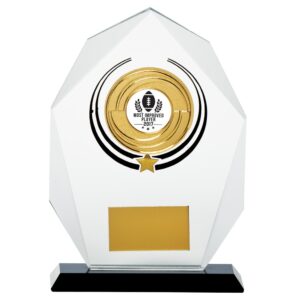 Glacier Multisport Glass Award 160mm