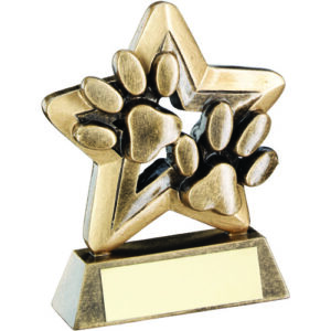 BRZ/GOLD DOG PAWS WITH PLATE MINI STAR WITH PLATE - 3.75in
